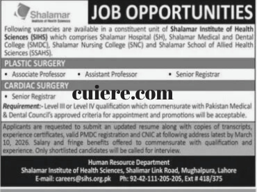 Assistant Professor BPS-18 Job