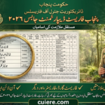 Punjab Forest Department Jobs 2026